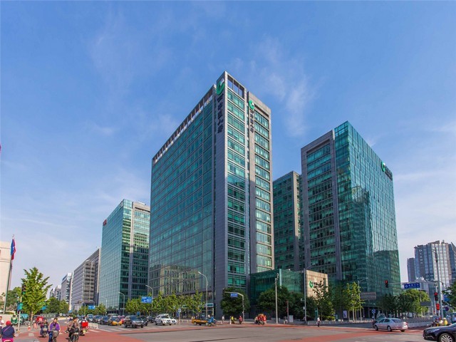 普陀区植物租赁联系方式